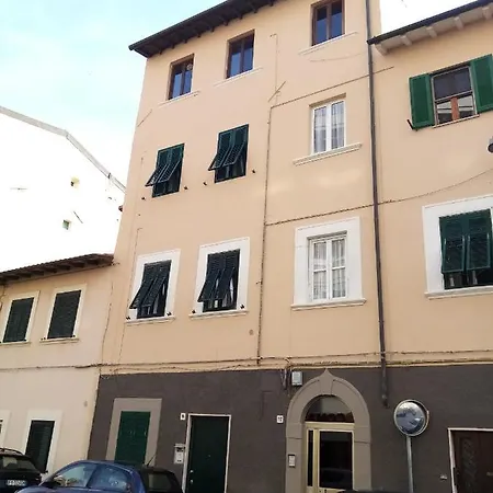 Piccione Marittimo Vicinanze Mare